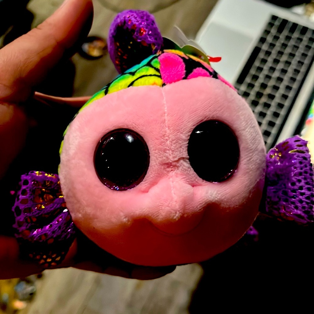 One TY BB fish